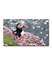 Atlantic Bird Macareux Moine Skua Fleurs Animal Photo Jeu Bureau Grand Tapis De Souris pour Ordinateur Portable, Couverture De Bureau Ordinateurs Clavier Bureau Idéal Tapis De Souris 30x80cm