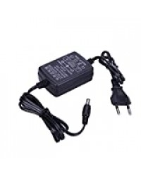 DOMYBEST 12V 2A AC à DC Adaptateur Secteur Double Câble Convertisseur Universal 5.5x2.1-2.5MM