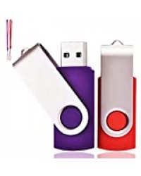 Lot de 2 Clé USB 64 Go Cle USB 2.0 Mémoire Flash Drive Clef USB Pivotantes avec Cordes Bon Cadeau pour Enfant Parents et Amis (64G, Rouge/Violet)